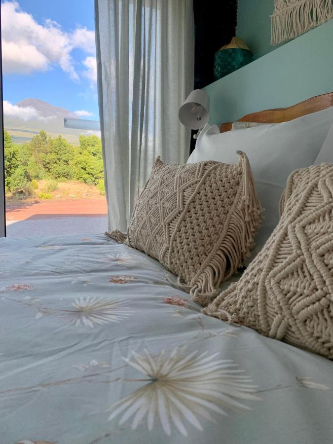Picoterrace Villa Madalena  Eksteriør billede